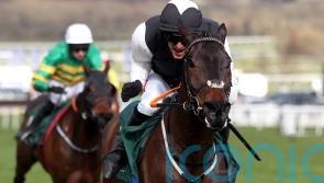 Flooring Porter returns to fences for Killarney spin