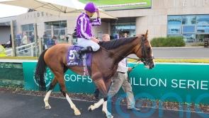 Diego Velazquez roars back to form in Meld Stakes