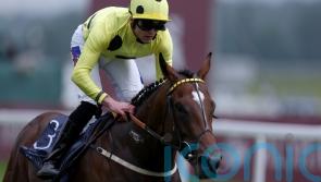 Elite Status too good for Hackwood field