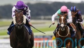 David Loughnane &lsquo;over the moon&rsquo; to have Go Bears Go back