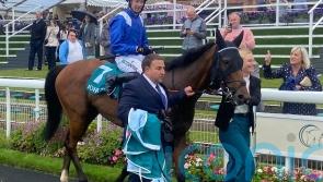 Goodwood next on the agenda for rejuvenated Enfjaar