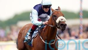 Nunthorpe and Sprint Cup options open for Regional