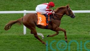 King&rsquo;s Gambit &lsquo;all set&rsquo; for the Knavesmire, with Callum Shepherd booked