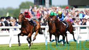 &lsquo;He&rsquo;s ready to go&rsquo; &ndash; Goliath taking on King George giants