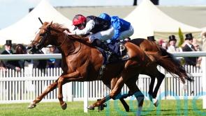 Superstar stayer Kyprios in top shape for Goodwood Cup