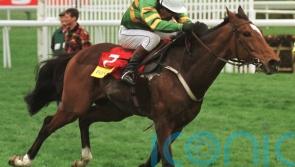 Istabraq unquestionably one of the all-time National Hunt heroes