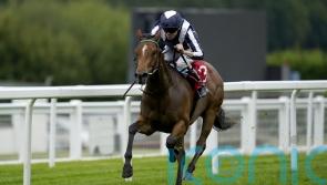 Celestial Orbit looks out of this world in Star Stakes