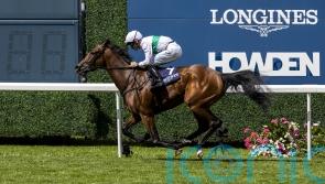 Friendly Soul bounces back in some style at Ascot
