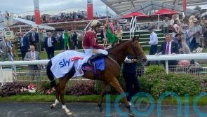 Rage Of Bamby shows true worth with dominant Dash display