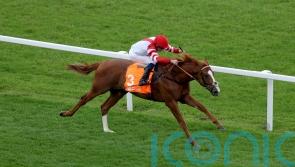 King&rsquo;s Gambit in line for possible York return following narrow reverse