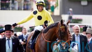 Rosallion may return to action in Prix du Moulin