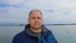 Harris welcomes release of Irish citizen Paul Whelan in Russian prisoner swap