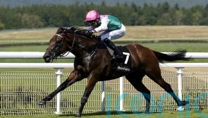 Lead Artist shines under Shoemark at Goodwood