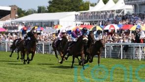 All eyes on York for round three of Big Evs and Asfoora