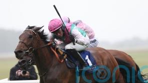 Yorkshire Oaks under the microscope for Bluestocking