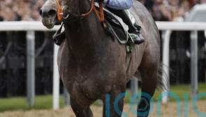 Haydock now the top target for Shouldvebeenaring