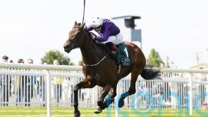 Bucanero Fuerte likely to head for Sprint Cup at Haydock