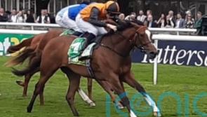 Crisford pondering adding Arabian Dusk to Prix Morny field