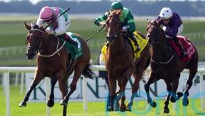 Babouche foils Whistlejacket to take Phoenix Stakes and stay unbeaten