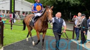 Sweet success for O&rsquo;Brien at Newmarket with Lake Victoria