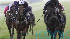 California Dreamer being primed for Moyglare task