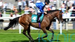 Burrows expects Anmaat to come on for winning return