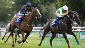 Mill Stream to be saved for Ascot and Sha Tin targets