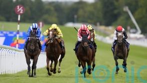 Al Aasy and Al Qareem do battle again for Geoffrey Freer honours