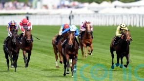 Rashabar camp dreaming big ahead of Prix Morny test