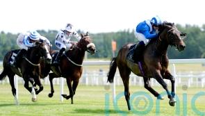 Nice and easy for Al Aasy in Geoffrey Freer stroll