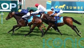 All roads lead to the Arc now for Fabre and Mqse De Sevigne