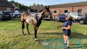 Asfoora&rsquo;s faithful groom dreaming of more UK glory