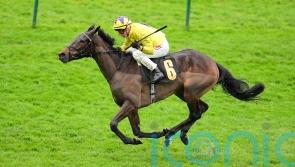Galtres gold in Sea&rsquo;s sights at York