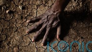 UK heat-related deaths predicted to soar by end of century with 3C of warming