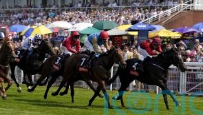 The Strikin Viking aiming to hit Gimcrack target