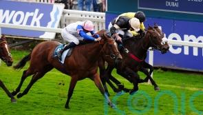 Five-star Alfa Kellenic has Lidster in York dreamland