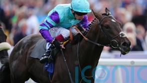 Cool Hoof Luke darts to Gimcrack victory at York