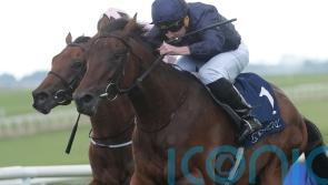 Henri Matisse exhibits star quality at the Curragh