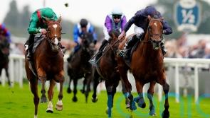 Champion Stakes high on the list of targets for Calandagan