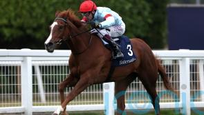 Flight jets home to prompt May Hill thoughts for Sangster