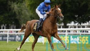 Classy juvenile fillies in line for May Hill rematch