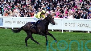 Inisherin freshened up and raring to go in search of Sprint Cup glory