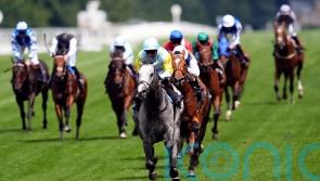 &lsquo;Complete horse&rsquo; Charyn primed for mouthwatering Moulin