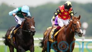 Montassib magic for Haggas and Fallon in Sprint Cup