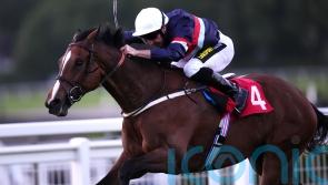 Dual Identity set for another crack at Cambridgeshire success