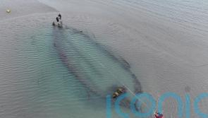 Analysis continues into historical shipwrecks found off Dublin coast
