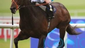 &lsquo;Superstar&rsquo; Brown Panther will always be remembered fondly