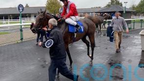 Formal-ity wholly appropriate for Stoute at Leicester