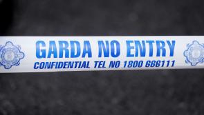 Man arrested after he barricaded himself inside south Dublin property