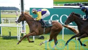 Scorthy Champ floors Henri Matisse in National surprise